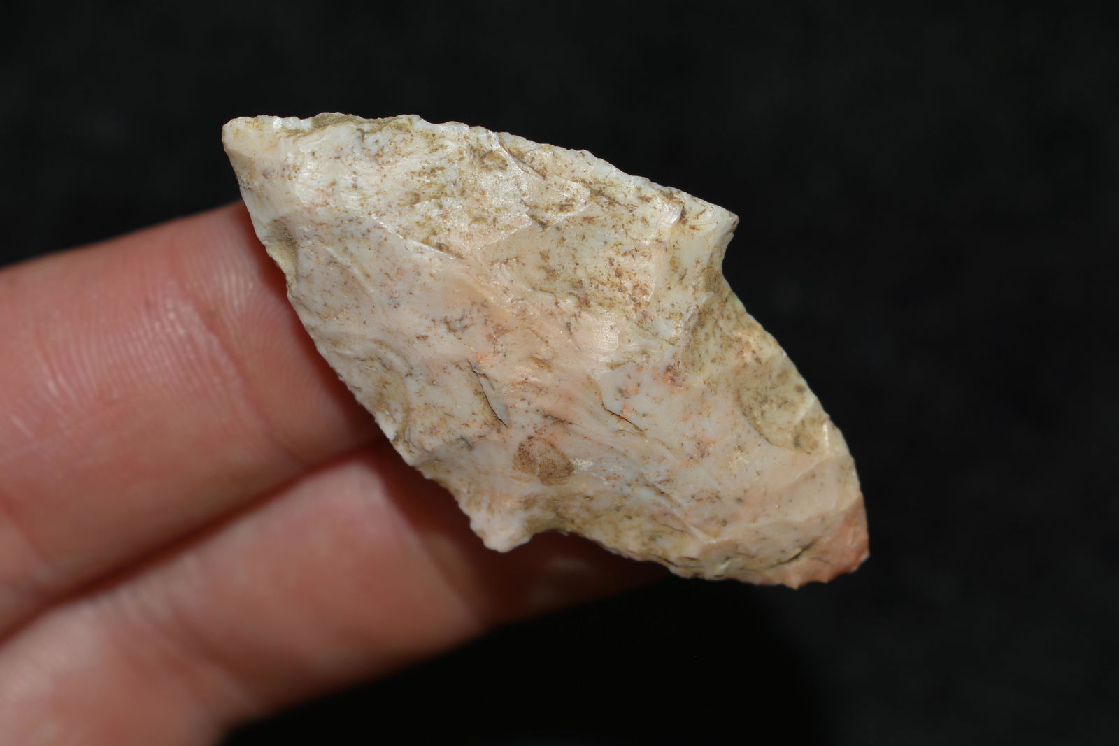 1 3/4" Gary found in Lewis County, Mo by John Burford: 1 3/4" Gary found in Lewis County, Mo by John Burford