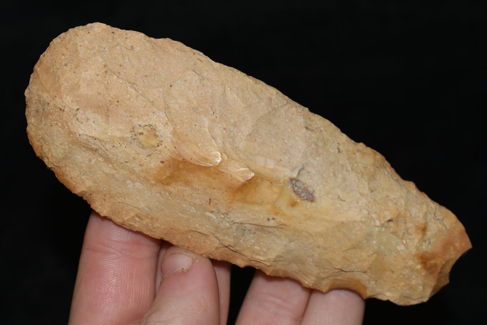 5" Sedalia Digger found in Lewis County, Mo by John: 5" Sedalia Digger found in Lewis County, Mo by John Burford
