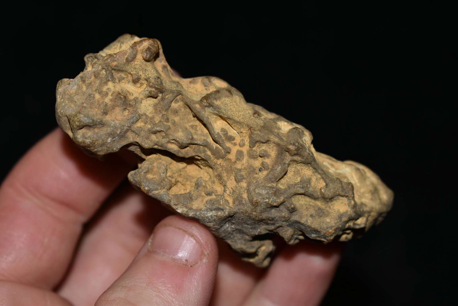3" Fossilized Dinosaur Dung: 3" Fossilized Dinosaur Dung