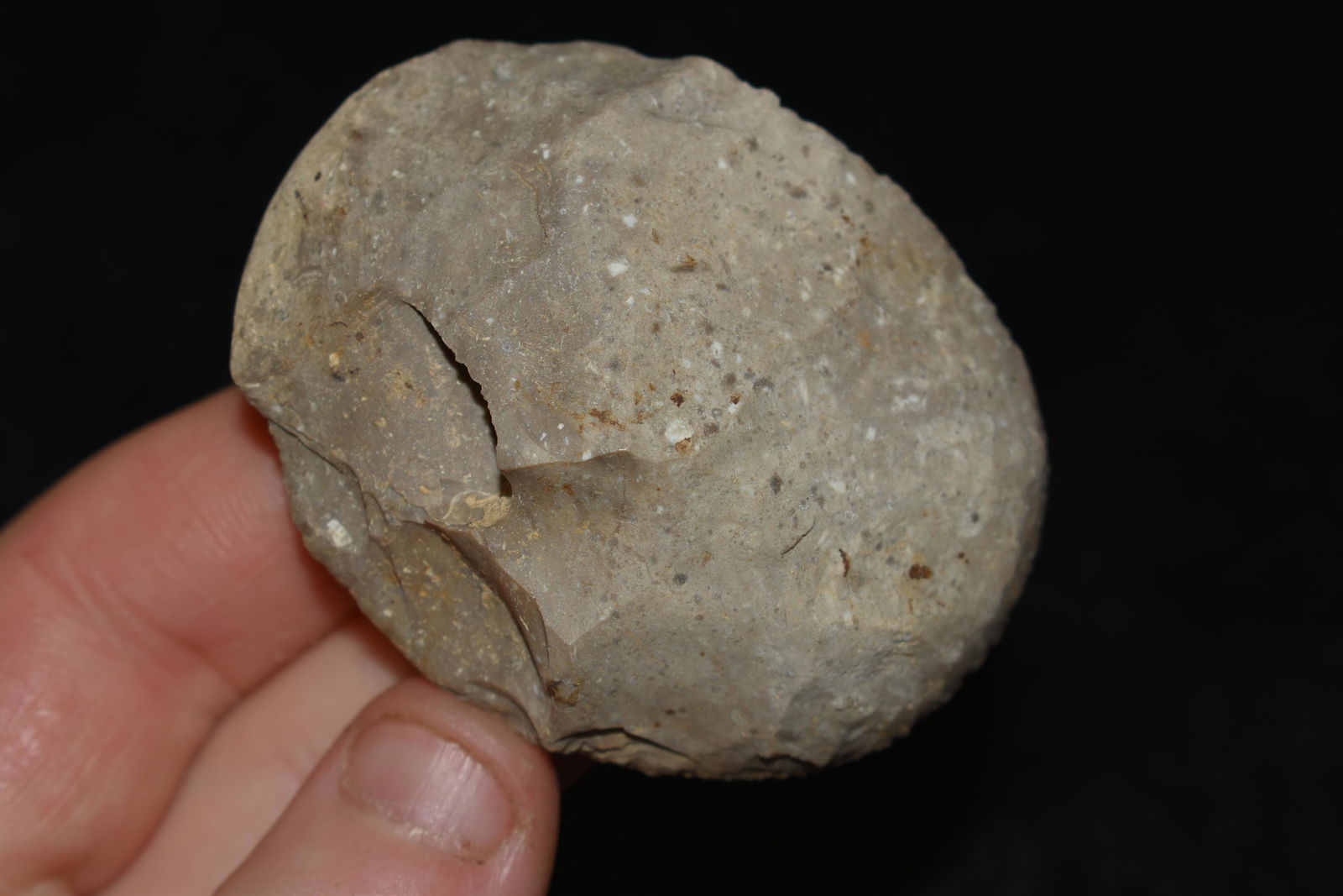 2 1/8" Sun Disc found in Pike Co., Illinois: 2 1/8" Sun Disc found in Pike Co., Illinois