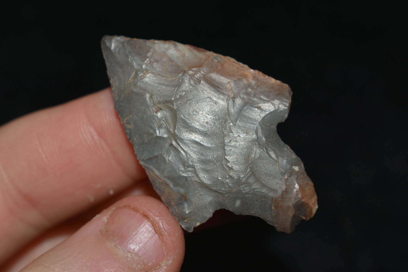 1 3/4" Gary found in Arkansas Authentic Native American: 1 3/4" Gary found in Arkansas Authentic Native American Artifact
