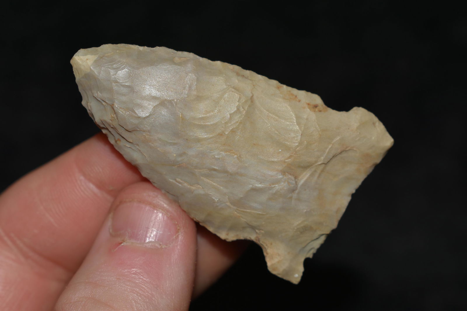 2 1/4" White River Point found in Georgia Authentic (1 of 4)