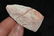 2 1/4" San Gabriel Blade found in Florida Authentic