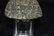 5 1/8" Celt made of Diorite, found in Boone Co., - 4