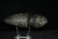 7 1/4" Hohokam Axe found in 4 Corner Region Authentic - 3