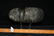 7 1/4" Hohokam Axe found in 4 Corner Region Authentic - 7
