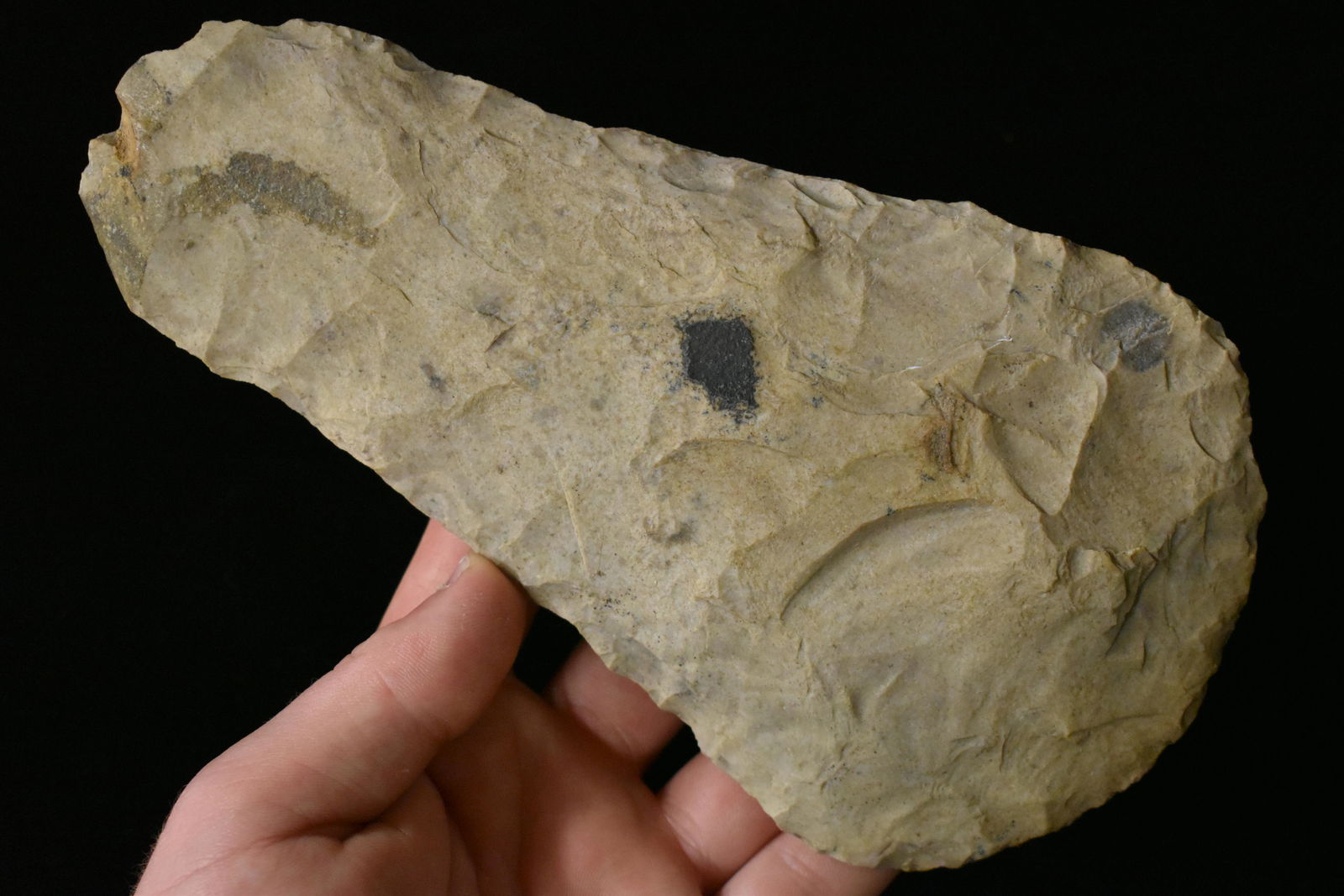 7 1/2" x 4 1/4" Flare Bit Hoe with Great Bit Polish (1 of 6)