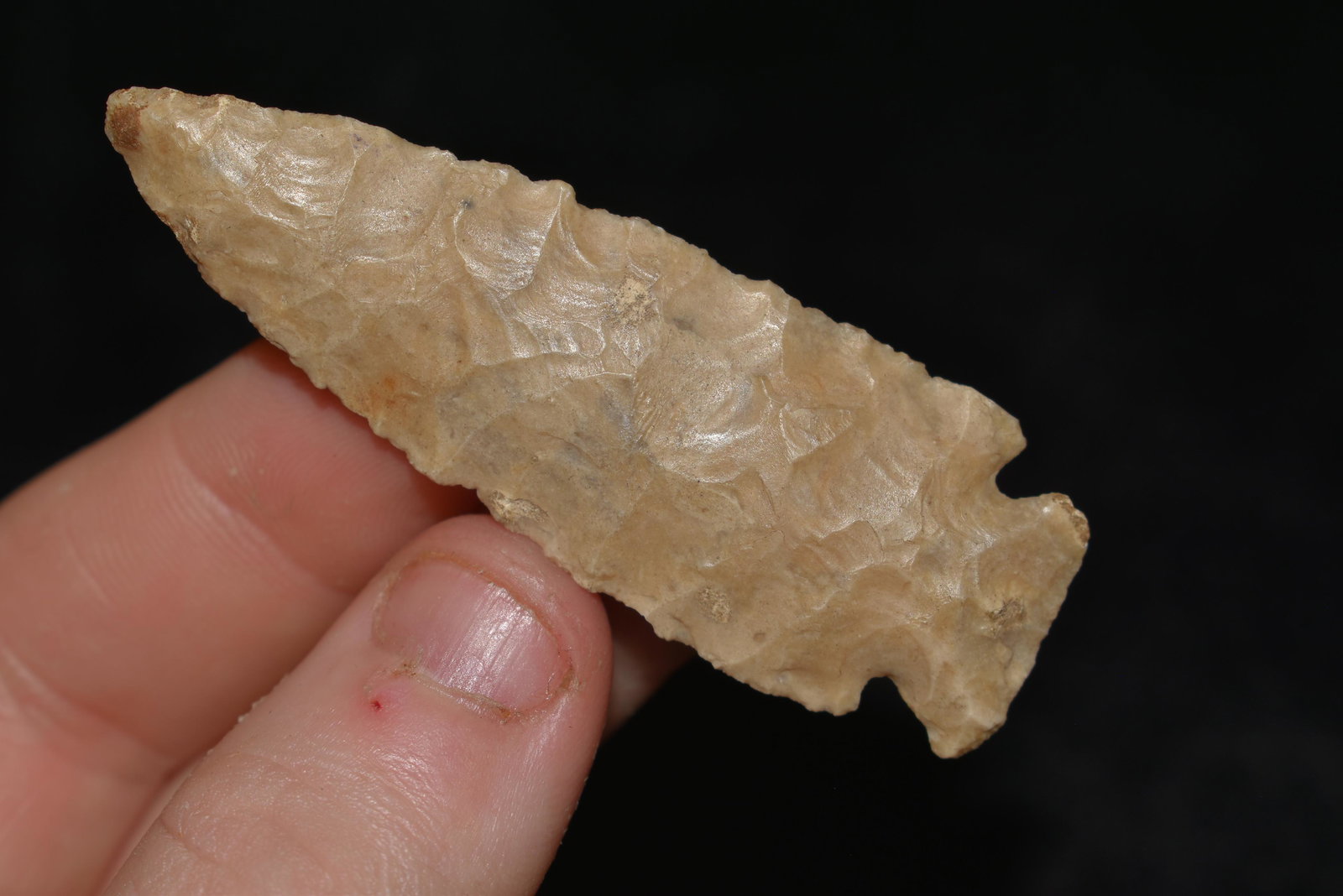 2 1/2" Finely Flaked Corner Notch, found in Cooper Co., (1 of 4)