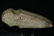 6 1/2" Keokuk Axe, Lee Co., Iowa, Meadows C.O.A - 5