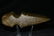 Top End 6 3/4" Keokuk Axe Wapello Co. IA Well Pictured - 3