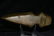 Top End 6 3/4" Keokuk Axe Wapello Co. IA Well Pictured - 5