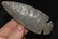 3 3/4" Hornstone Dovetail, Bath Co., Kentucky Davis