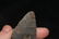 3 3/4" Hornstone Dovetail, Bath Co., Kentucky Davis - 5