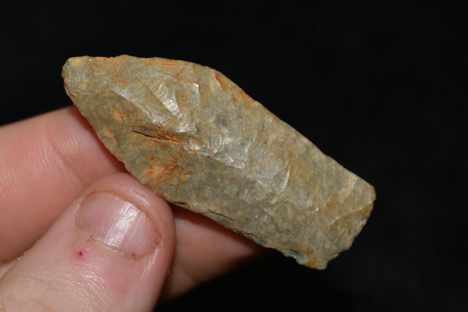 1 15/16" Hell Gap found in Audrain Co., Missouri (1 of 5)