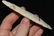 4.45" Dovetail, Pictured in WW #8 pg. 149, WW #9 pg. - 3