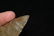 2 13/16" Sonora Dovetail, Indiana, Davis C.O.A - 5