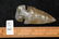 2 13/16" Sonora Dovetail, Indiana, Davis C.O.A - 7