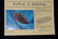 3 1/8" Hornstone Dovetail, Indiana, Davis C.O.A - 4