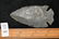 3 1/8" Hornstone Dovetail, Indiana, Davis C.O.A - 5