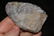 2.87" Preform, SW Texas, Perino C.O.A Authentic Native - 3