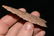 2 7/8" Tripple T Point, S.W Texas, Copy of Perino C.O.A - 3