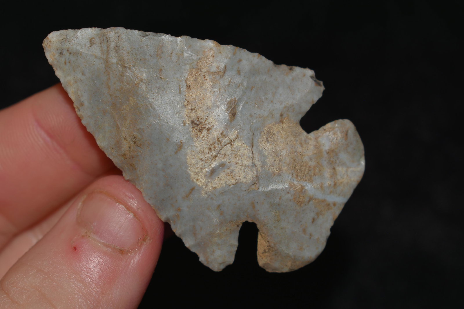 2 1/4" Indiana Green Dovetail found in Indiana (1 of 4)