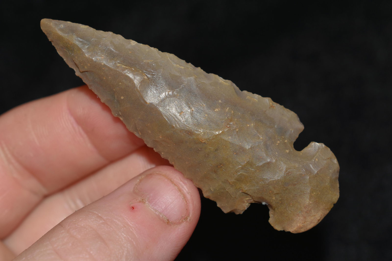 2 3/4" Dovetail, Bartholomew Co., Indiana, Ex. Duane (1 of 4)