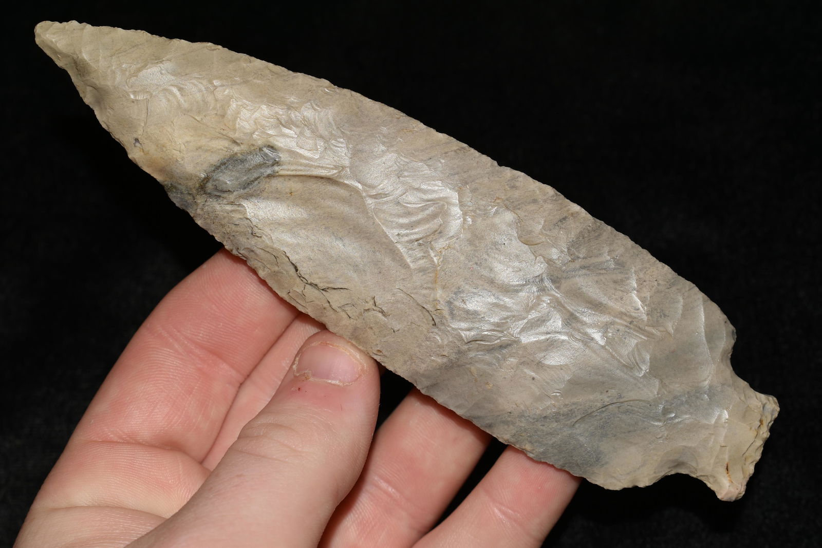 Excellent 5 3/4" Benton, Pulaski Co., IL, Motley COA (1 of 7)