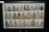Frame Containing 29 Woodland/Archaic Points found in