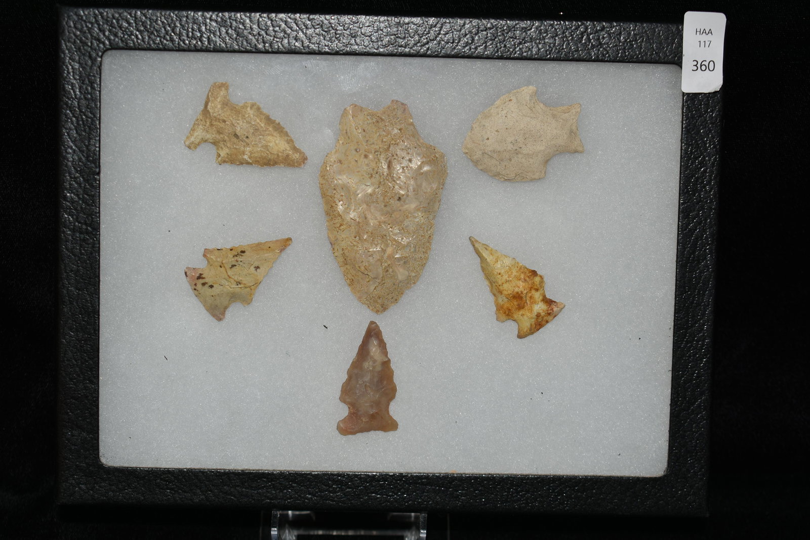 Lot of 6 Florida Points, Largest is 2 3/4" Authentic (1 of 1)