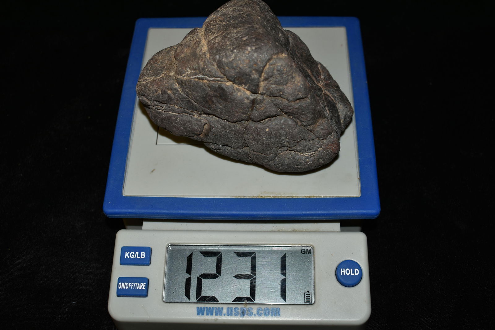 1231G Del Campo Argentina Meteorite: 1231G Del Campo Argentina Meteorite