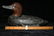 Antique Intricately Carved Wooden Duck Decoy - 6