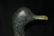 Antique Wooden Duck Decoy - 3