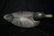 Antique Wooden Duck Decoy - 4