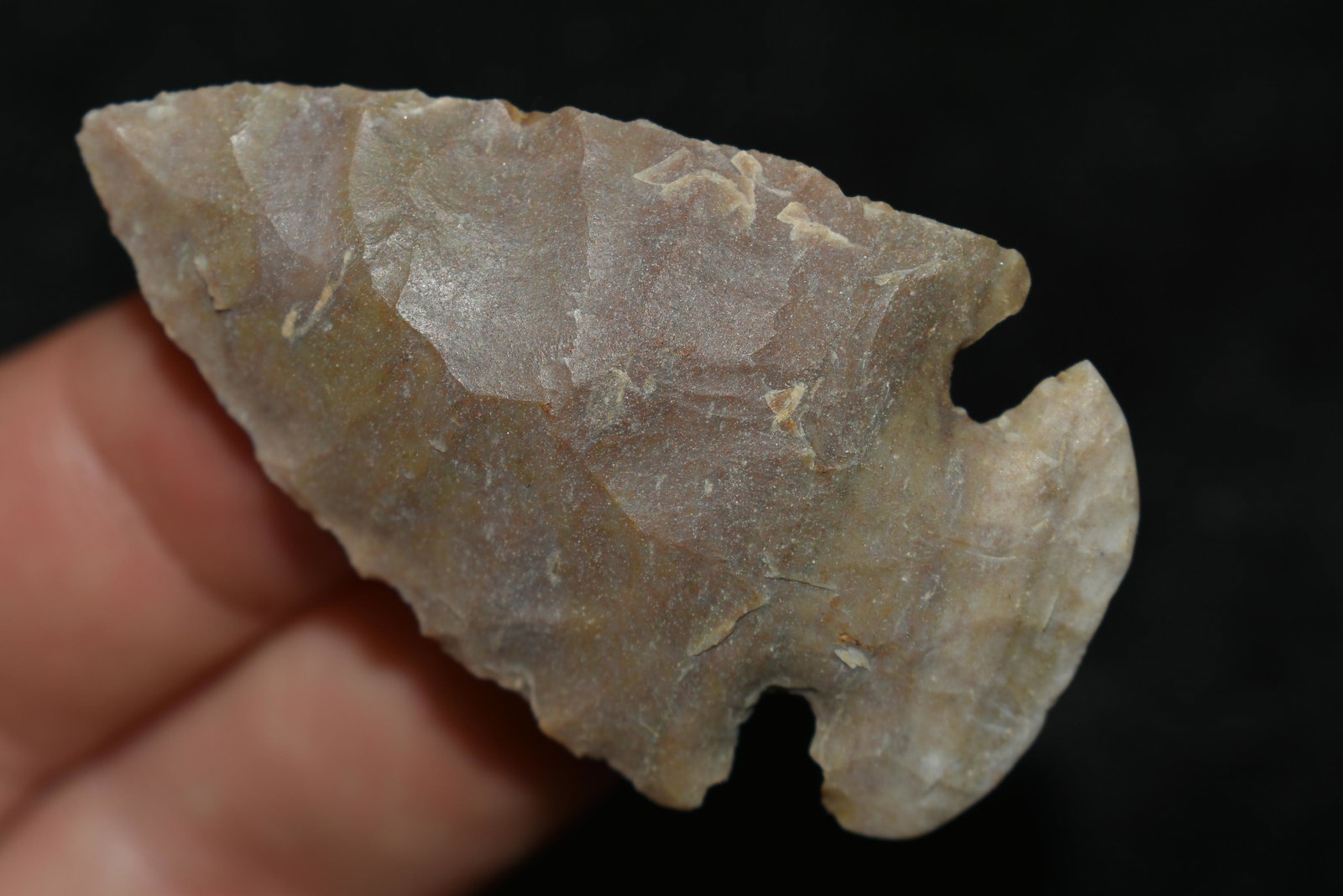 2 1/15" Dovetail found in Ohio Authentic Native (1 of 4)