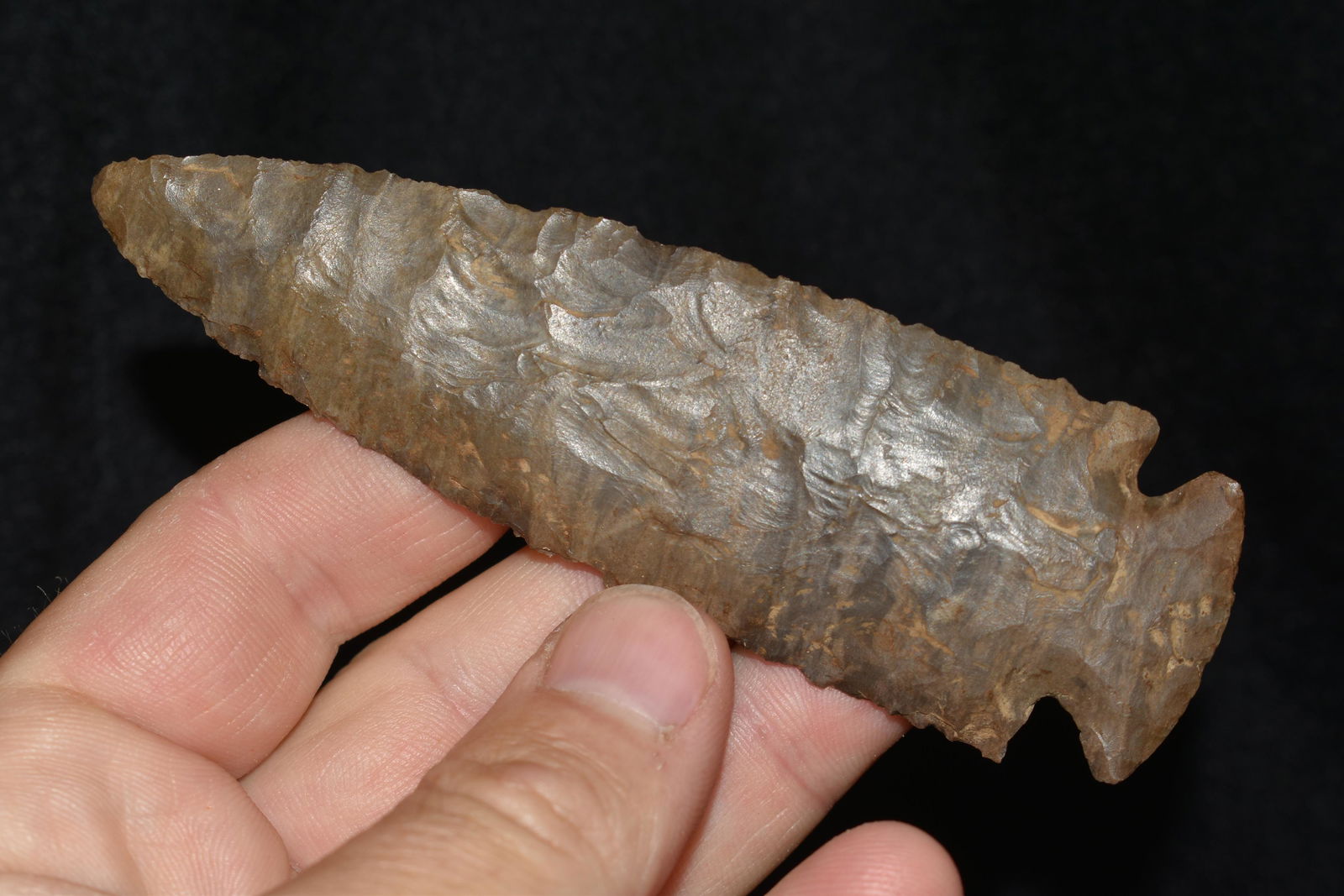 4 3/8" Dovetail, Hot Spring Arkansas, Bennett C.O.A (1 of 8)