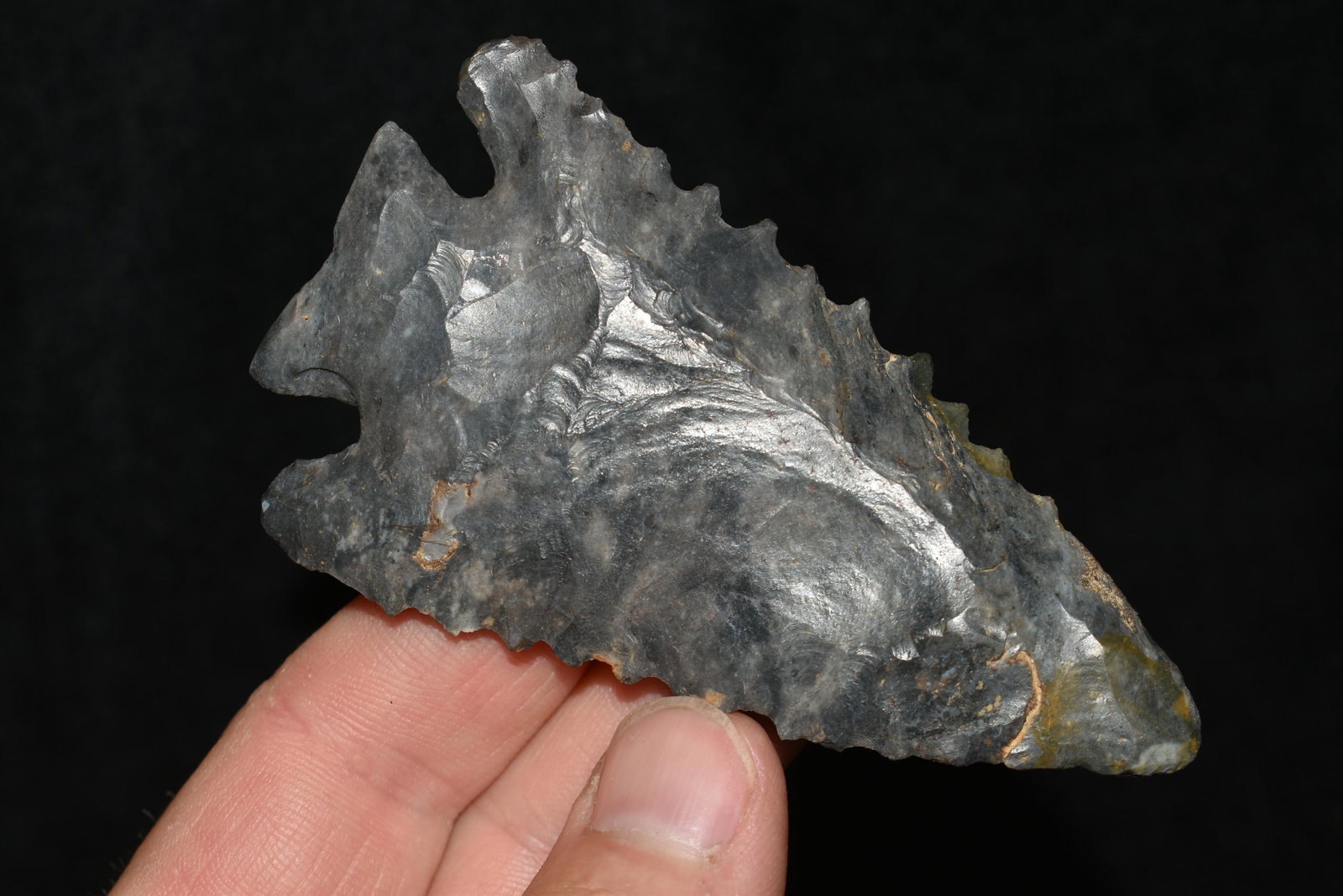 3 1/2" Archaic Notched Base Bevel, Bennett C.O.A (1 of 6)