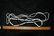 53" Strand of Trade Beads, Oregon, Bennett C.O.A - 2