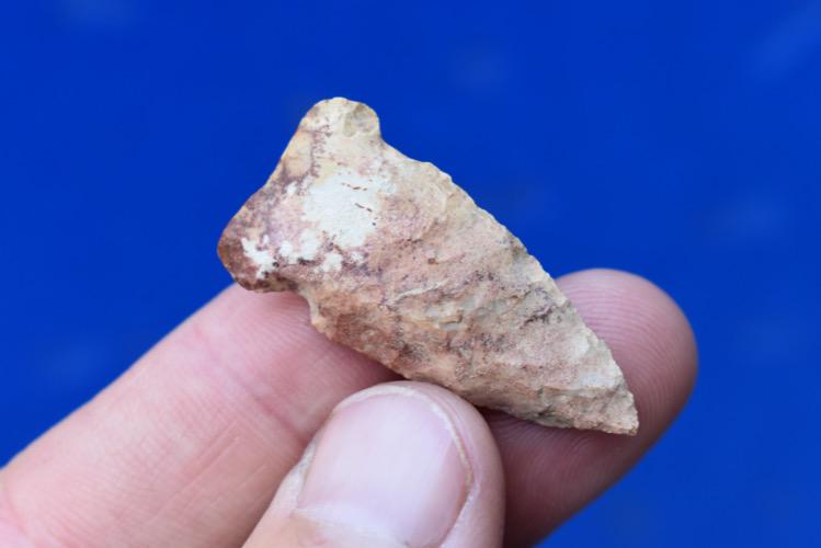 1 1/2" Robbins, Great color, Found in Iowa by Harold: 1 1/2" Robbins, Great color, Found in Iowa by Harold Boysen