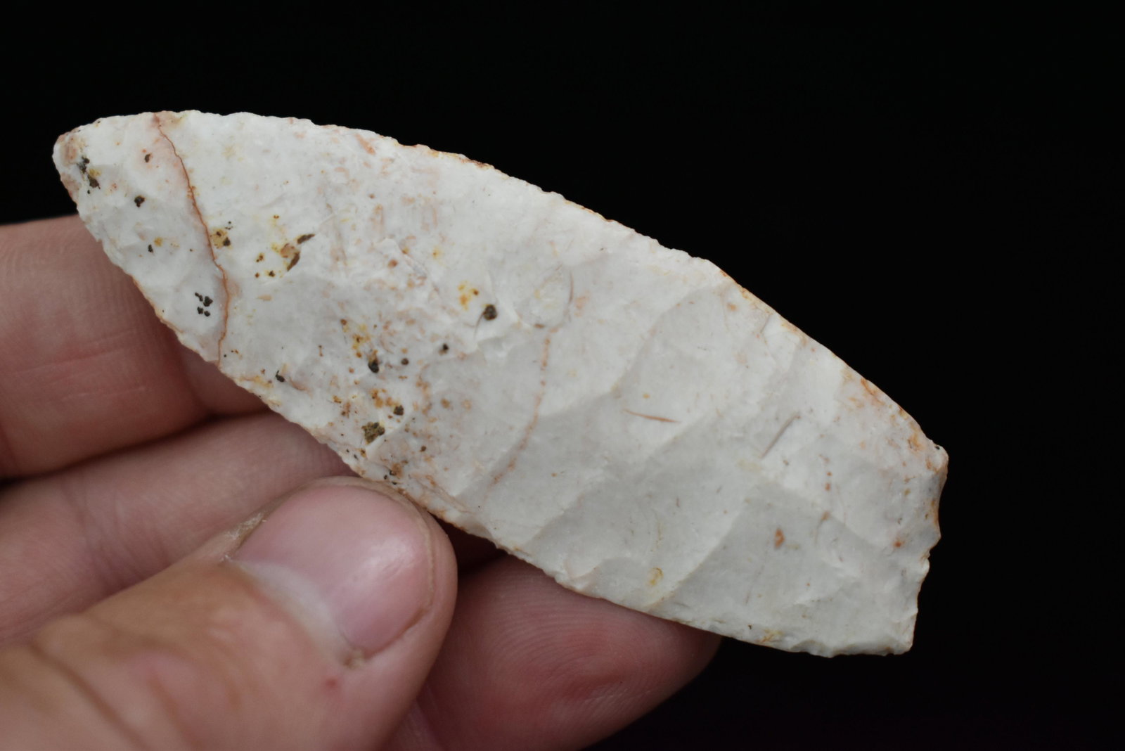 3" Paleo Angostura, This collection was found in Knox: 3" Paleo Angostura, This collection was found in Knox County Missouri near the town of Edina, Private Collection. Nearly all Creek found in the last 10 years, Authentic Native American Arrowhead, Arti