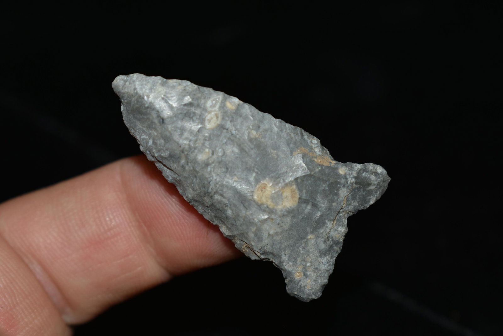 1 5/8" Robbins, This collection was found near the town: 1 5/8" Robbins, This collection was found near the town of Falls City Nebraska, They are nearly all manufactured out of Florence Chert, Private Collection, Authentic Native American Arrowhead, Artifac