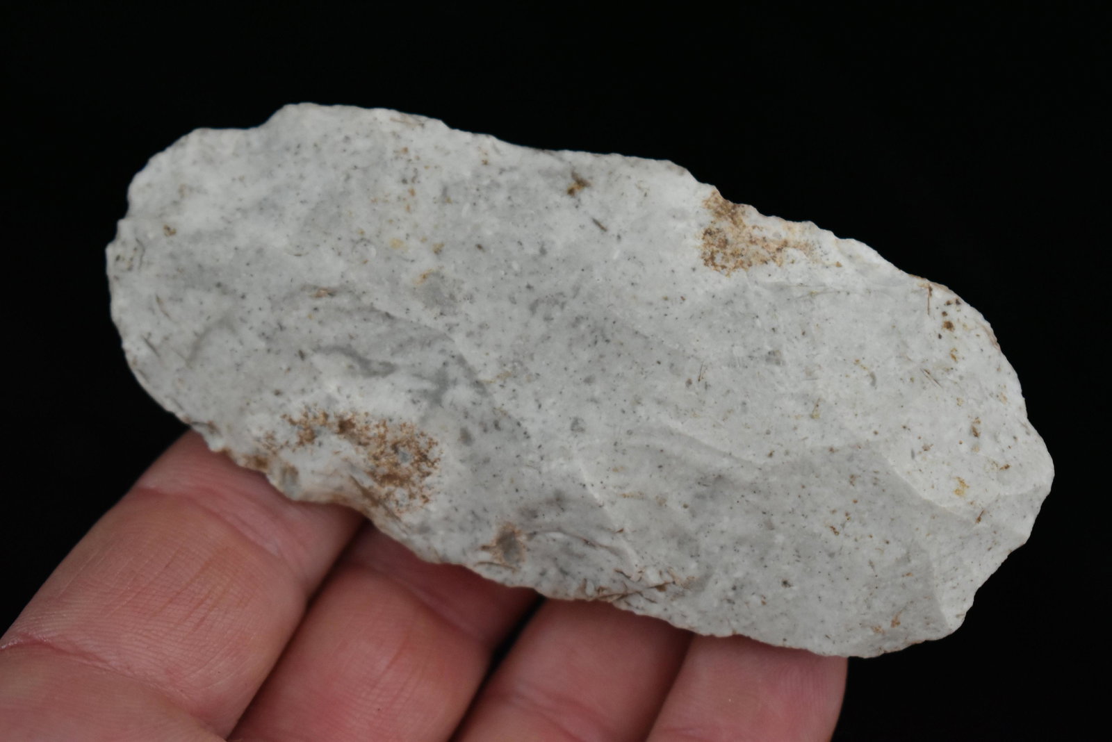 3 7/8" Sedalia Digger, Adze, Marion Co Missouri,: 3 7/8" Sedalia Digger, Adze, Marion Co Missouri, Authentic Native American Arrowhead Artifact