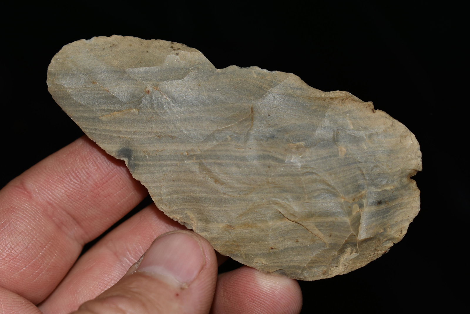 3 3/8" Banded Material Knife, Central Nebraska,: 3 3/8" Banded Material Knife, Central Nebraska, Authentic Native American Arrowhead Artifact