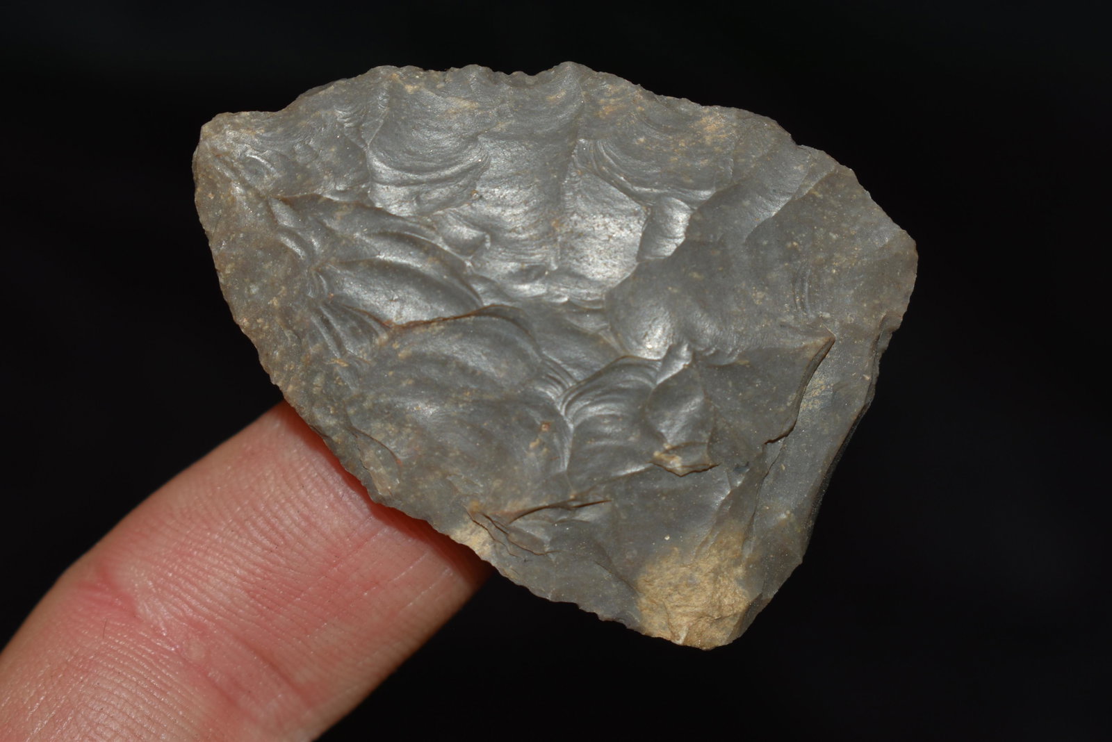 2" Paleo Point, Nice Form, Central KY, Authentic Native: 2" Paleo Point, Nice Form, Central KY, Authentic Native American Arrowhead Artifact