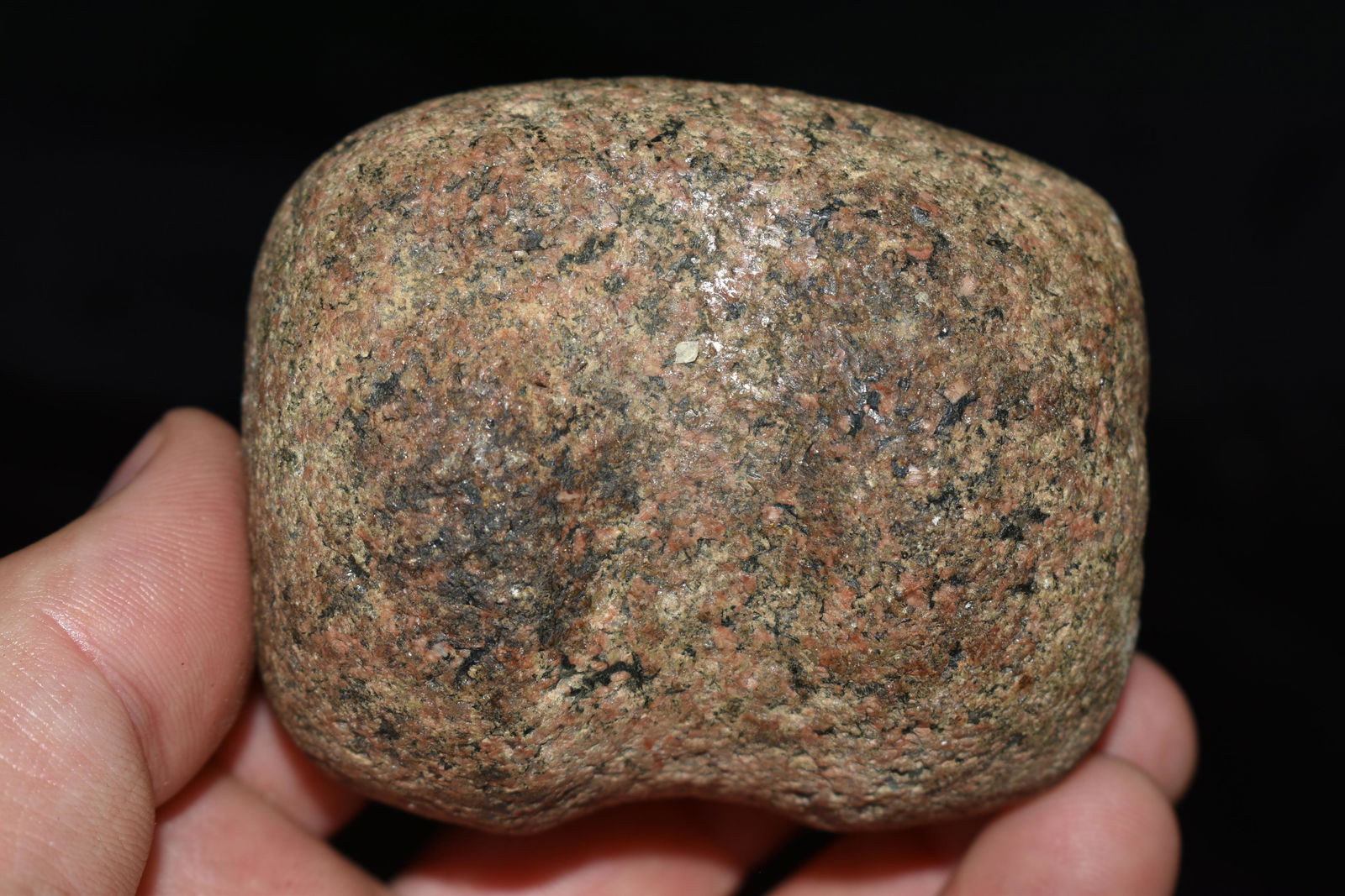 2 3/4" 3/4 Groove Hardstone Maul, Ex Legg and Don: 2 3/4" 3/4 Groove Hardstone Maul, Ex Legg and Don Lewis, Ohio, Authentic Native American Arrowhead, Artifact.