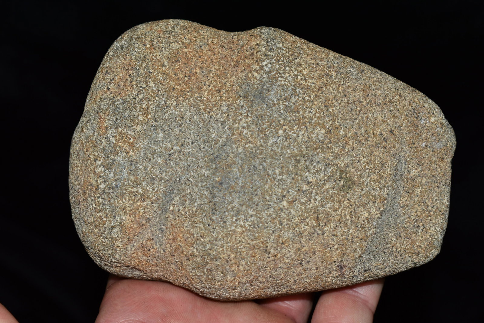 5" Full Groove Axe, Large, Found by Rodney Legg in: 5" Full Groove Axe, Large, Found by Rodney Legg in Southern Illinois, Authentic Native American Arrowhead, Artifact.