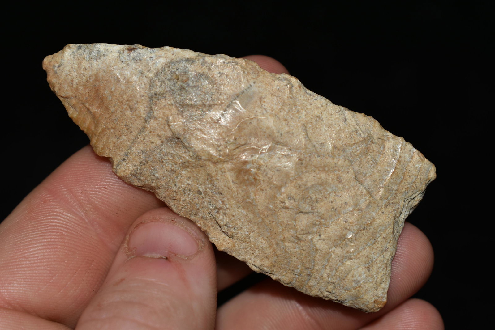 2 3/4" Clovis Era Paleo Point, Kay Co., Oklahoma, East: 2 3/4" Clovis Era Paleo Point, Kay Co., Oklahoma, East of Ponca City, Ex. Jerry Dickey