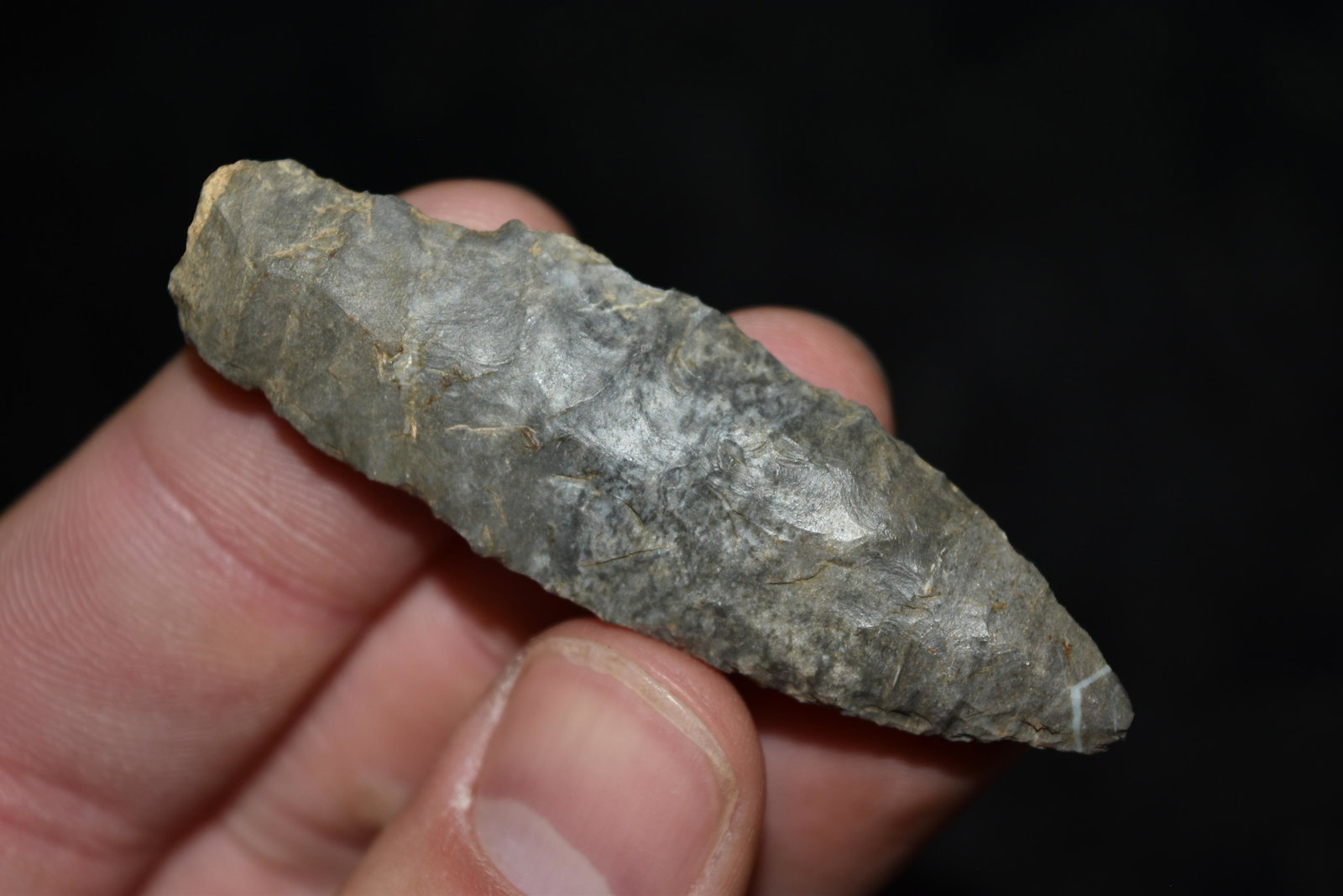2 1/2" Nebo Hill Point, FB John Morgan, Johnson Co,: 2 1/2" Nebo Hill Point, FB John Morgan, Johnson Co, Missouri