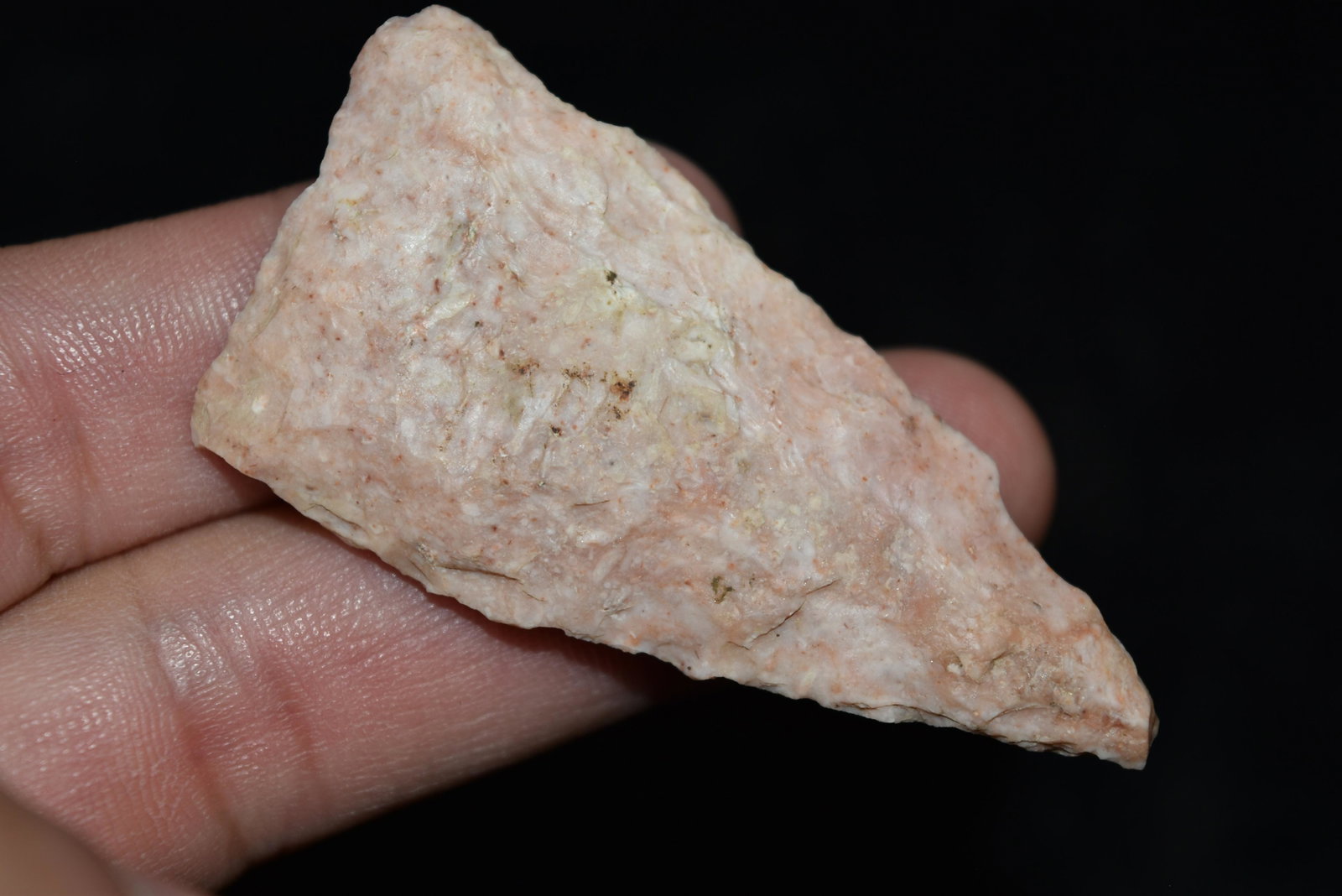 2 1/4" Rice Lobed Point, FB John Morgan, Johnson Co,: 2 1/4" Rice Lobed Point, FB John Morgan, Johnson Co, Missouri