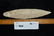 6 13/16" Agate Basin Blade, Rogers COA, Pike Co, - 9
